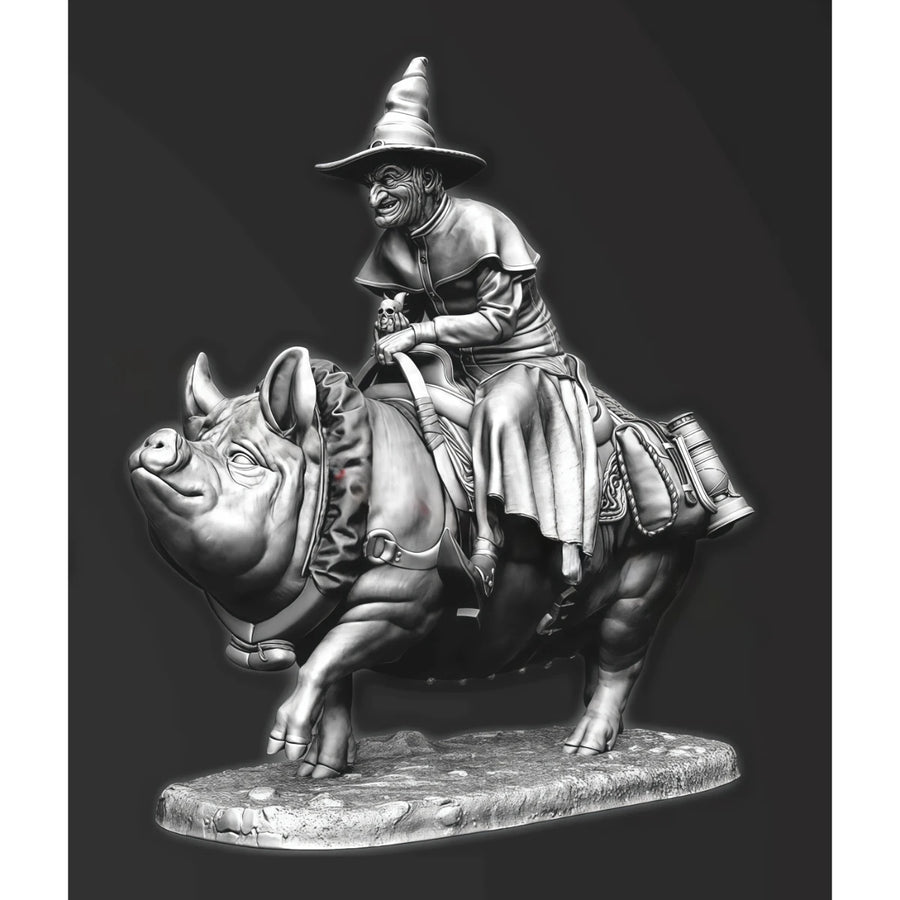 Whimsical Wizard on Pig Steed - 75mm Resin Figure Kit - 75mm resin model view 2