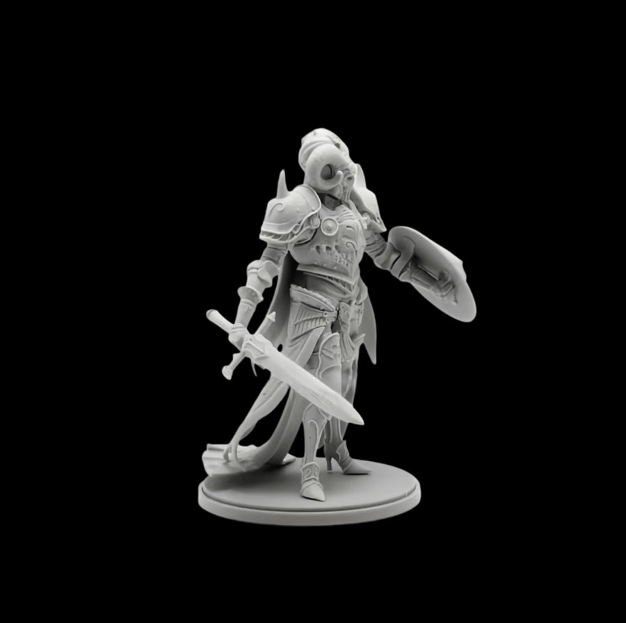 Armored Paladin Warrior with Sword Shield 75mm Resin Figure Kit - 75mm resin model view 2