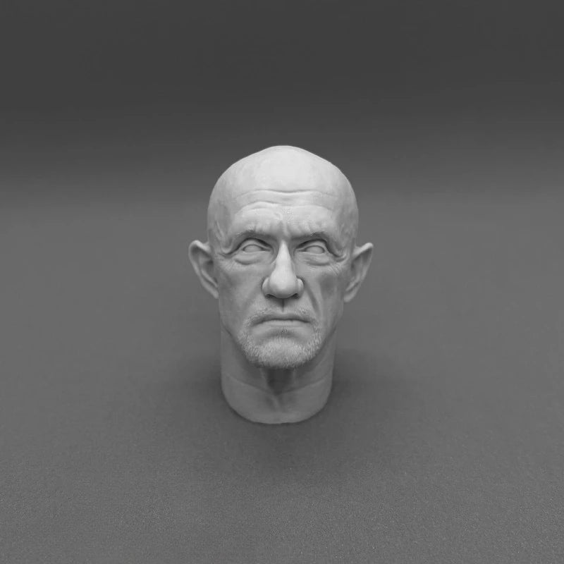 1/6 Scale Resin Head Bust Carving - TV Character Portrait Figure Kit - 1/6 resin model view 3