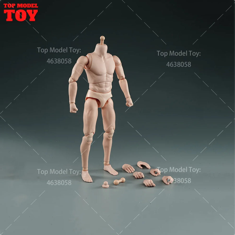1/6 Scale Articulated Male Muscle Body Resin Figure with Flexible Joints - 1/6 resin model view 5