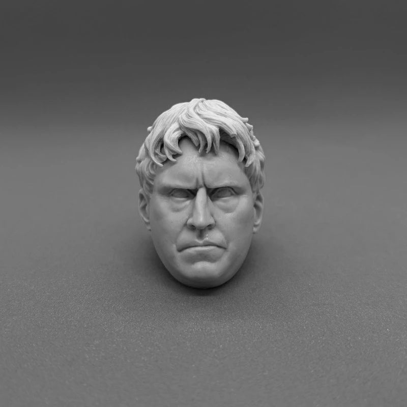 1/6 Scale Movie Character Head Busts Resin Figures - 8 Styles - 1/6 resin model view 4