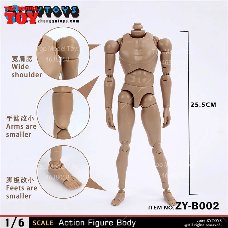 1/6 Scale Generic Male Action Figure Body Resin Kit - Wide Shoulder ZY-B002 - 1/6 resin model view 2