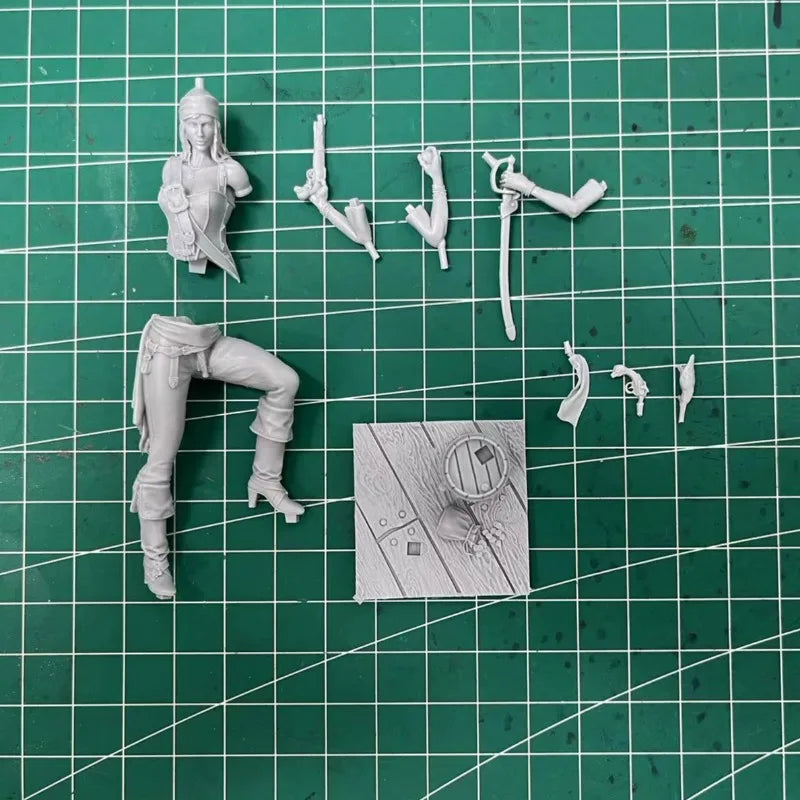 Pirate Captain with Parrot 75mm Resin Figure Kit - 75mm resin model view 3